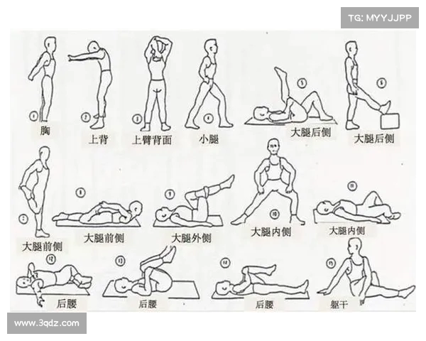 静态拉伸的重要性与正确方法解析促进身体柔韧性和预防运动损伤 静态拉伸的重要性与正确方法解析促进身体柔韧性和预防运动损伤